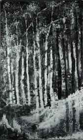 Untitled 13