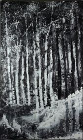 Untitled 19