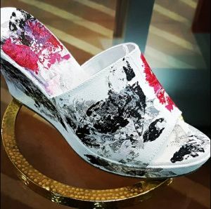 Painted Shoe 12